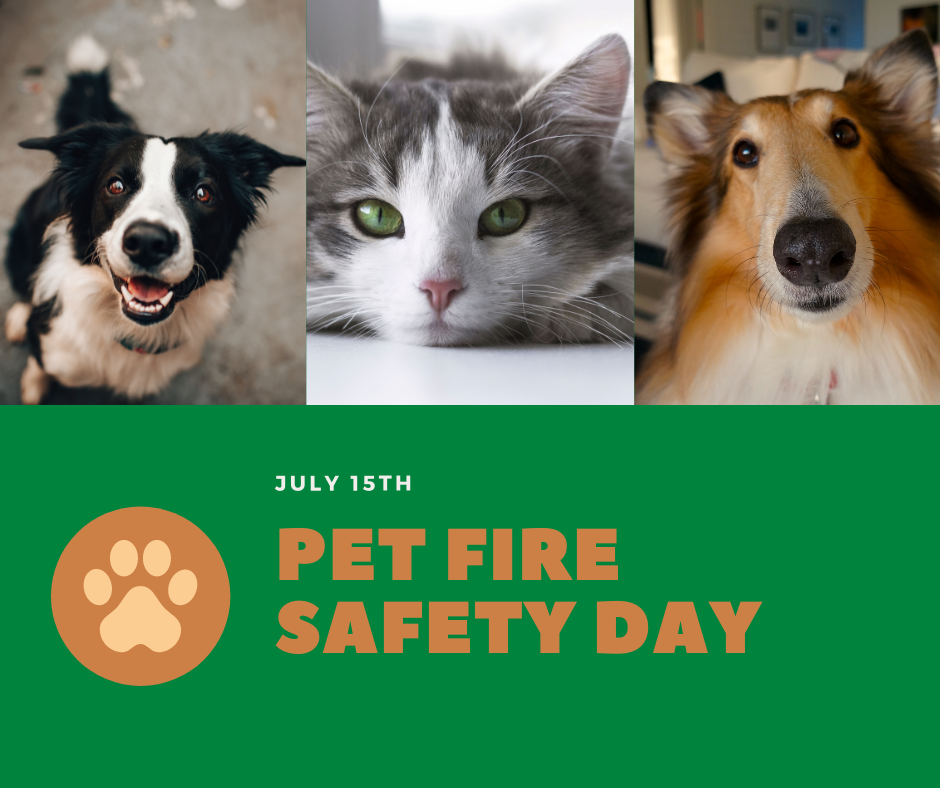 National Pet Fire Safety Day